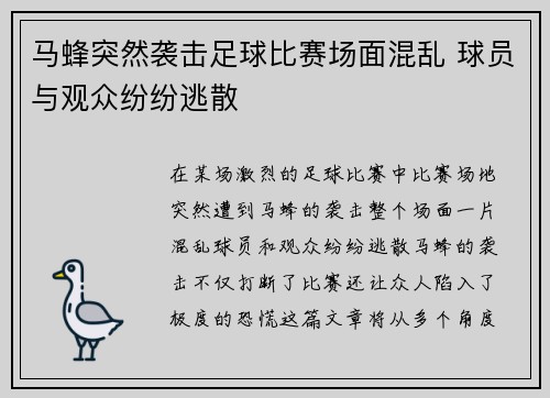 马蜂突然袭击足球比赛场面混乱 球员与观众纷纷逃散